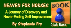 Read The Synopsis Of Stephanie Fry's Book!